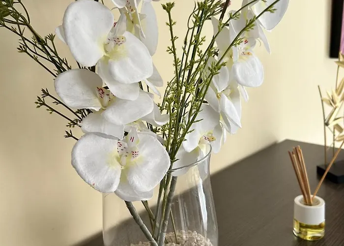 Magnifica Ubicacion ,amplio ,luminoso, A 50 M De La Playa * Calpe