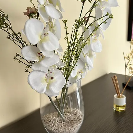 Magnifica Ubicacion ,amplio ,luminoso, A 50 M De La Playa * Calpe